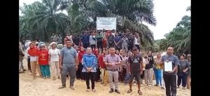 Masyarakat adat Luat Unterudang menggelar aksi penyampaian aspirasi di kawasan perkebunan kelapa sawit di Padang Lawas, Sumatera Utara, terkait dugaan konflik lahan dengan PT Barapala.