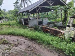 Kondisi bangunan kandang ternak di lingkungan UPTD Pembibitan Kambing Saburai Pesawaran tampak tidak terawat dengan kendaraan tua terbengkalai di sekitar lokasi.